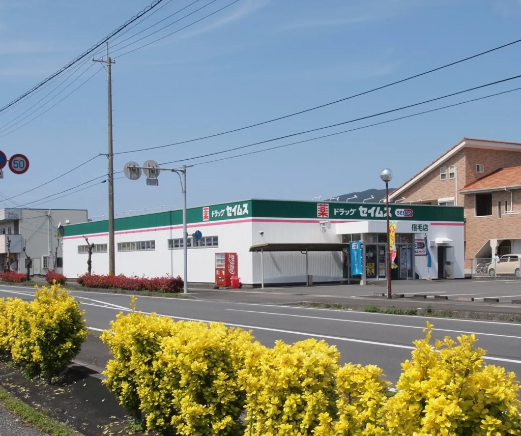 ドラックストア　セイムス宿毛店（ドラッグストア）まで2415m